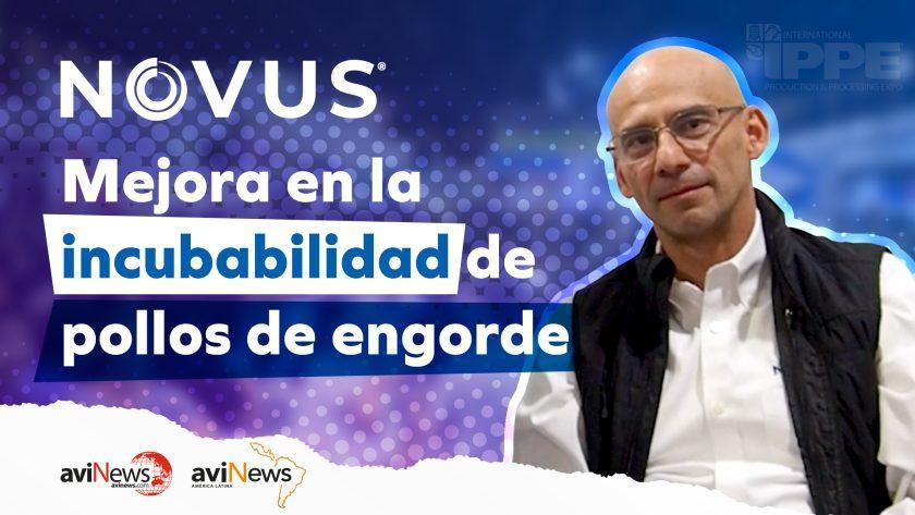 Mejora en la incubabilidad de pollos de engorde con Hugo Romero