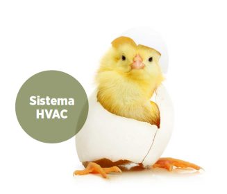 El papel de los sistemas HVAC en las plantas de incubación de una sola etapa