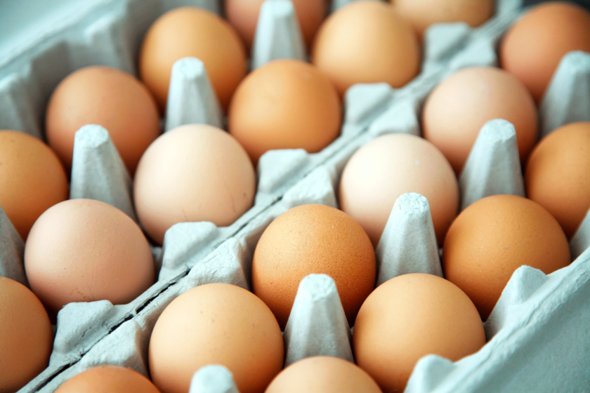 Situación del sector del huevo en España: economía y consumo