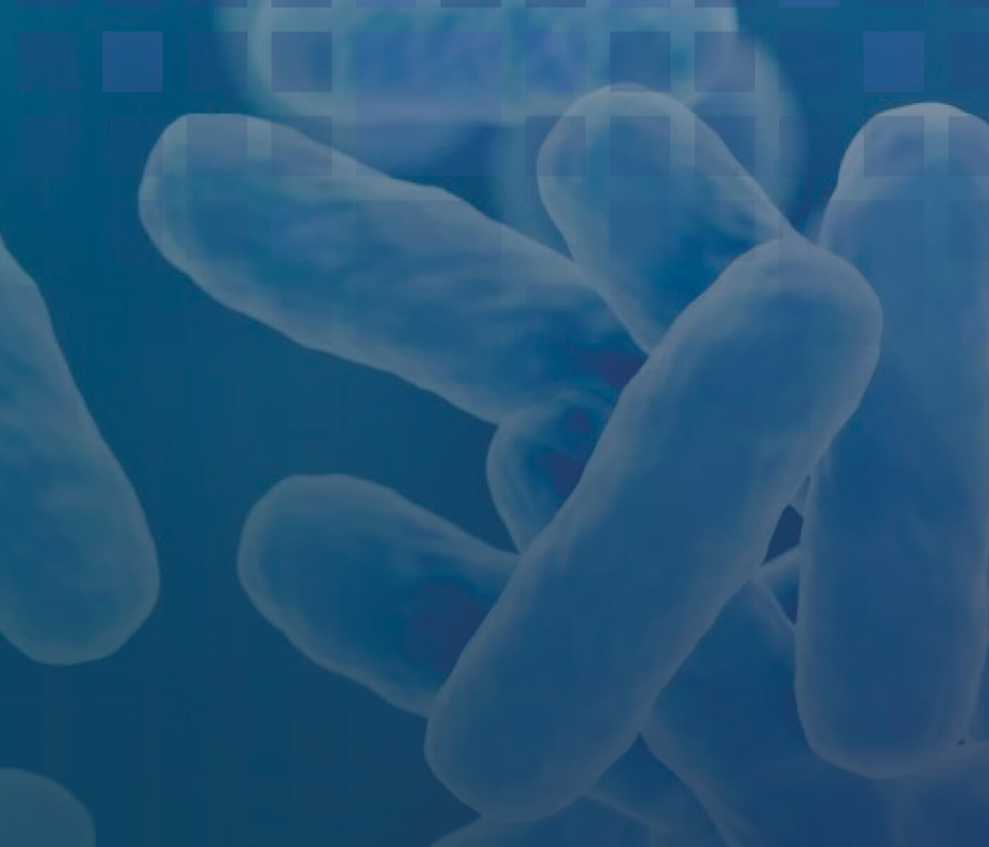 FLORAMAX-B11 HATCHERY e ZYMOSPORE probióticos seguros e com qualidade comprovada sem riscos para saúde única global