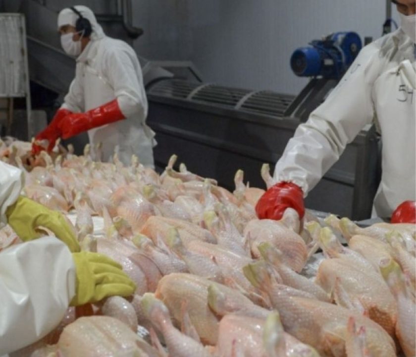 Argentina logra reapertura del mercado de productos avícolas del Reino Unido