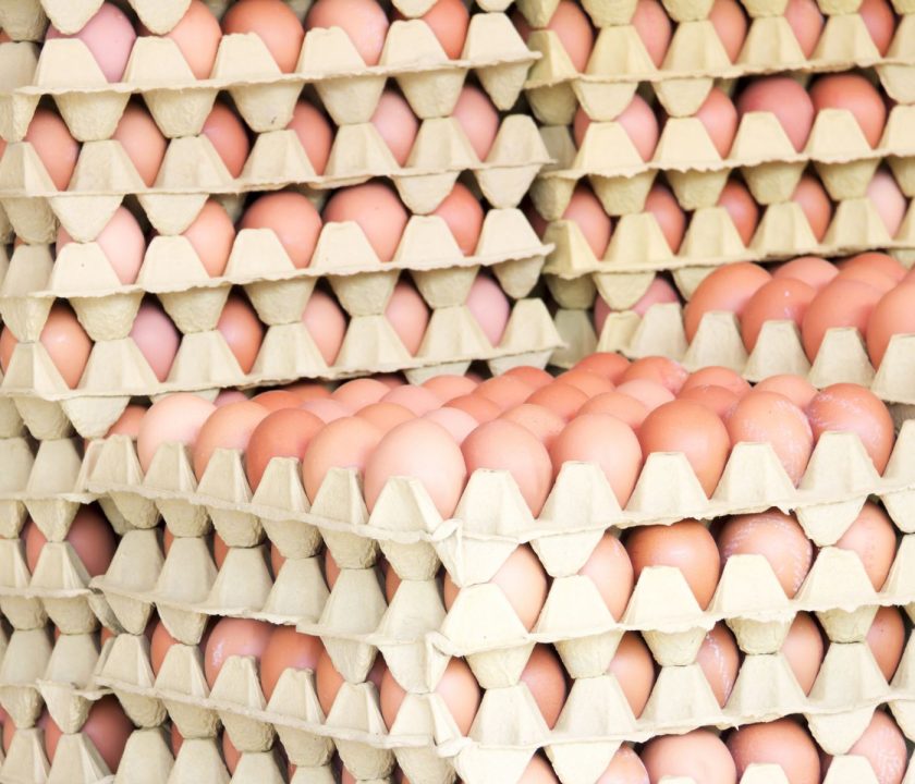 Colombia logra exportar huevos de alta calidad a Cuba