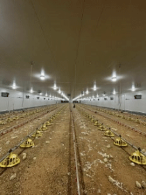 Vicente García Crosanto presenta su granja de pollos innovadora
