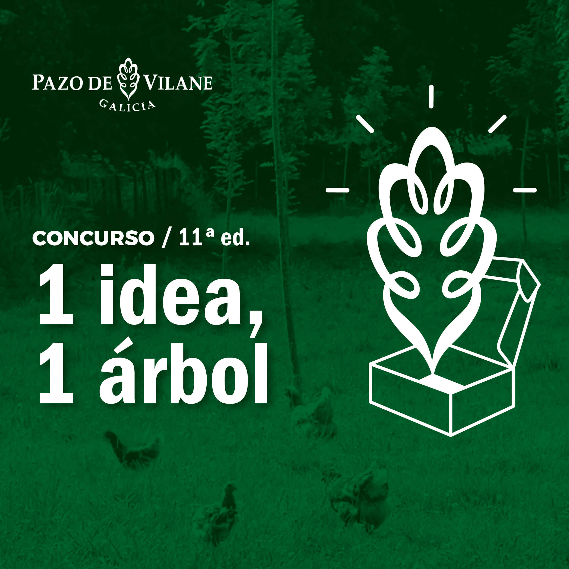 Pazo de Vilane celebra una década del emblemático concurso “1 idea, 1 árbol”