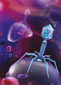 Iamgen Revista Explorando el Impacto de los Bacteriófagos: Posibles Agentes Moduladores de la Microbiota Gastrointestinal