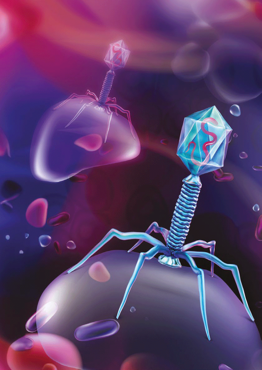 Explorando el Impacto de los Bacteriófagos: Posibles Agentes Moduladores de la Microbiota Gastrointestinal