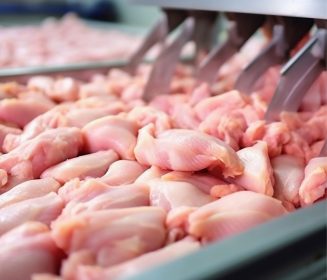 Estabilidad en la producción mundial de carne de pollo para este 2024
