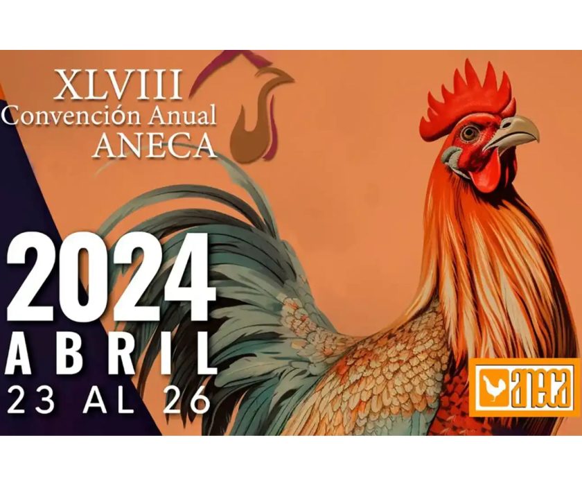 XLVIII Convención Anual ANECA 2024:
