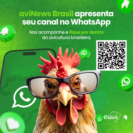 canal whatsapp robapagina