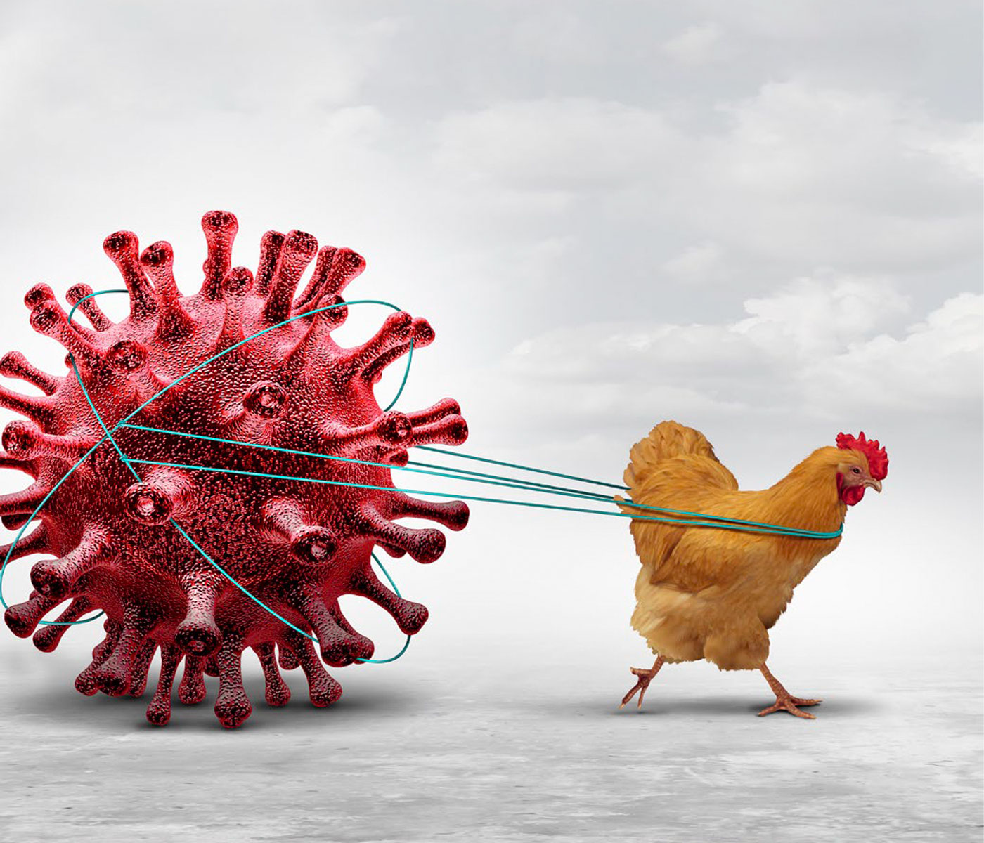 Avian Influenza: A Global Threat to the Poultry Industry