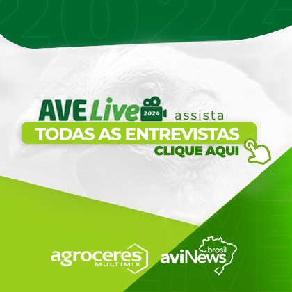 AVE LIVE 2024