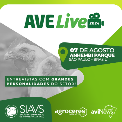 AVE LIVE 2024