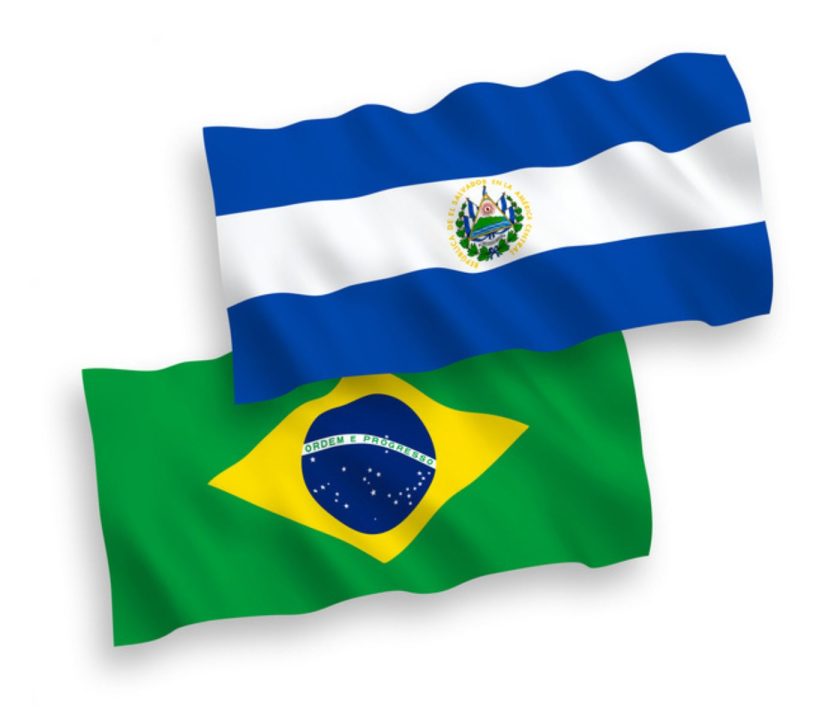 El Salvador abre su mercado a importación de productos avícolas brasileños