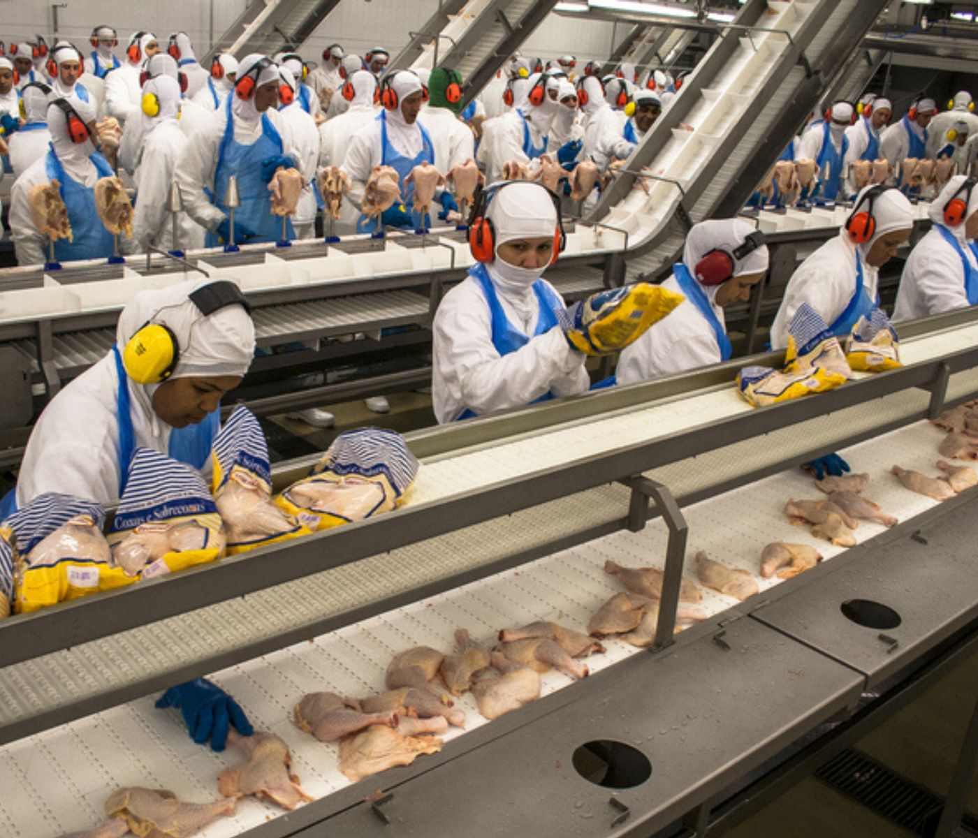 Primer trimestre de 2024: Volumen de exportaciones brasileñas de carne de pollo cae 7,2%