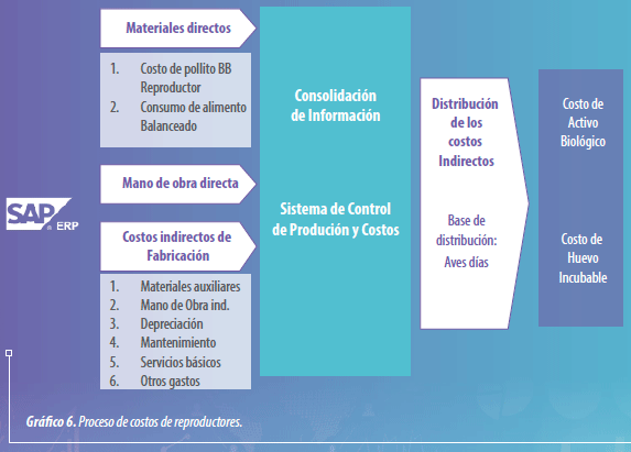 Gestión integral de producción: indicadores, costos y optimización