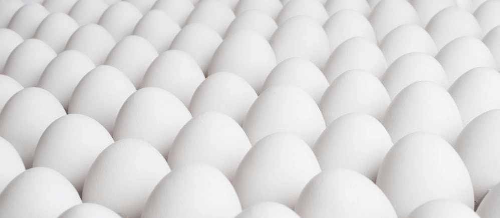 Calidad de la Cáscara del Huevo: Translucidez y su Impacto