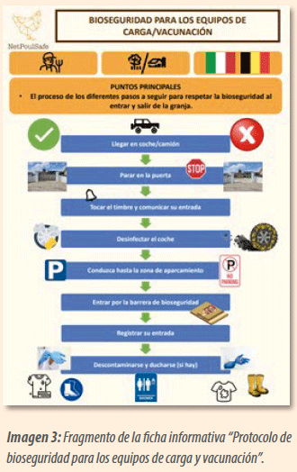 Proyecto NetPoulSafe: medidas de apoyo a ganaderos y técnicos