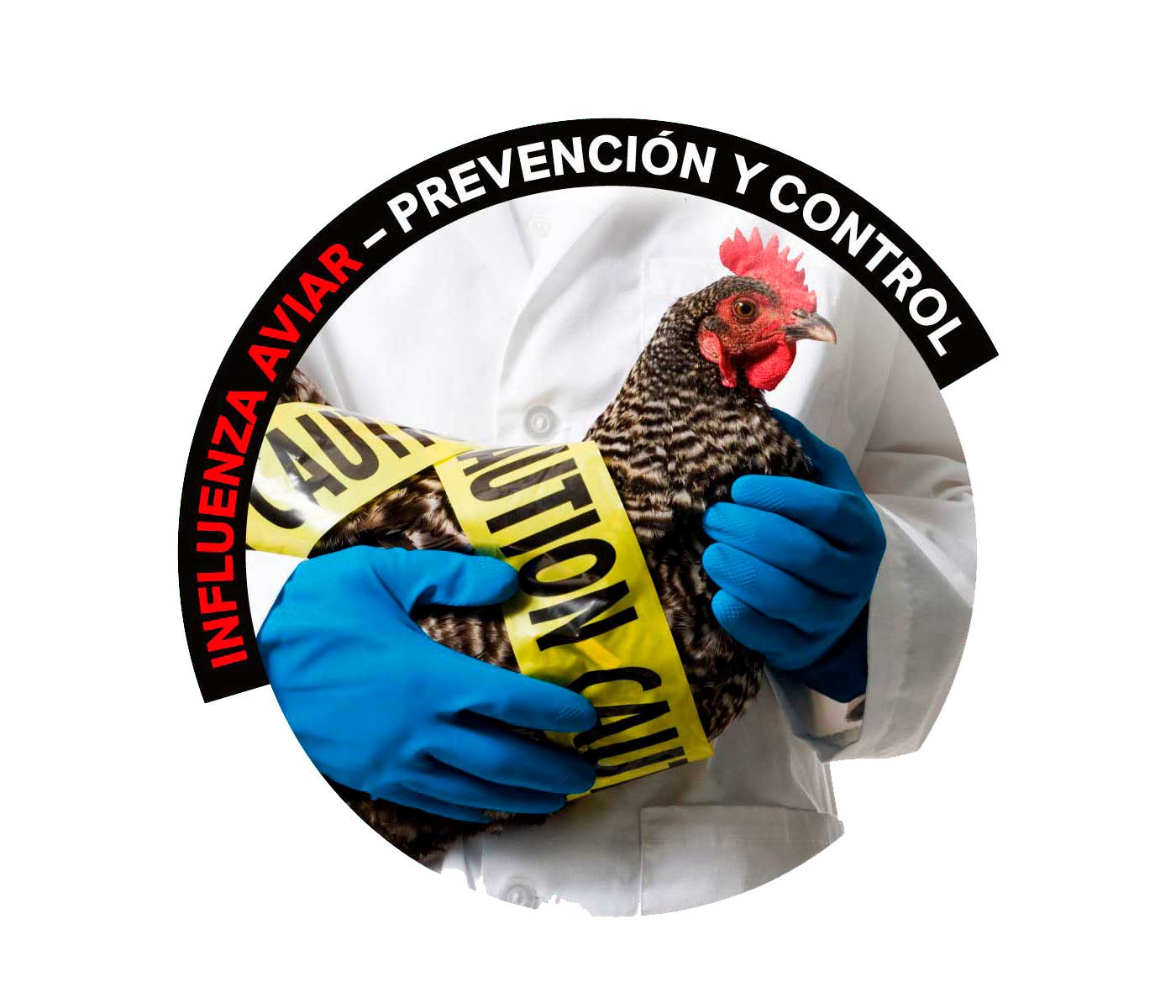 Lanxess Biosecurity Solutions patrocinó tesis sobre detección temprana de Influenza Aviar