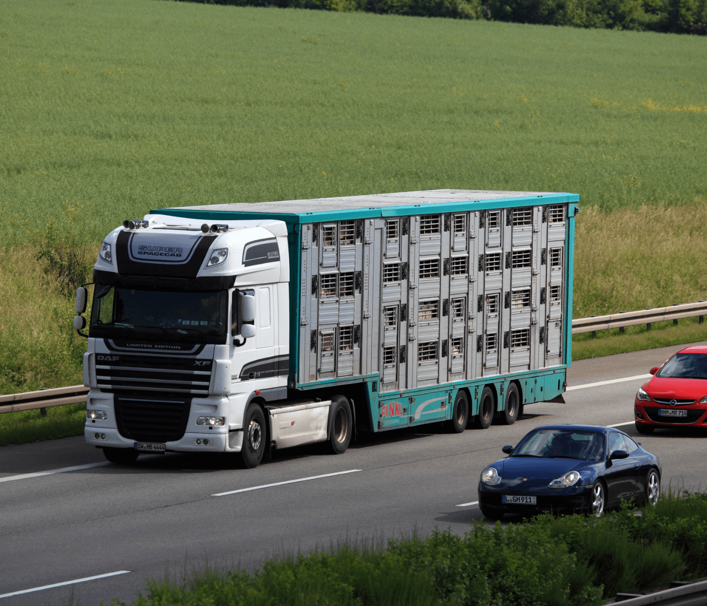 Catorce organizaciones ganaderas se unen para pedir al ministro de agricultura que españa rechace  el nuevo reglamento europeo relativo al transporte de los animales