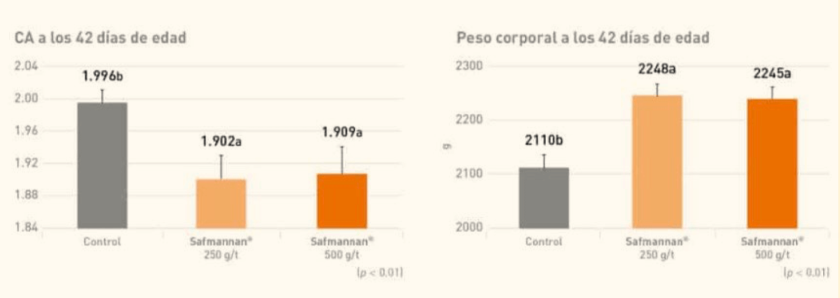 Levaduras seleccionadas en nutrición avícola, ¿apuesta segura?