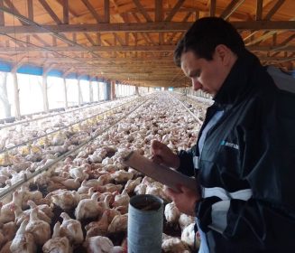 En Argentina fortalecen sanidad y bienestar animal en granjas avícolas