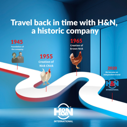 H&N BANNER INTERNACIONAL