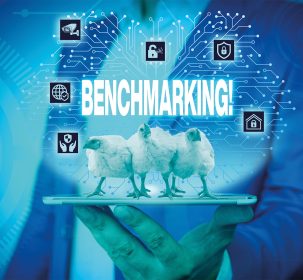 Imagen Revista Indicadores claves del desempeño de la producción de pollo en Latinoamérica: benchmarking con el mundo