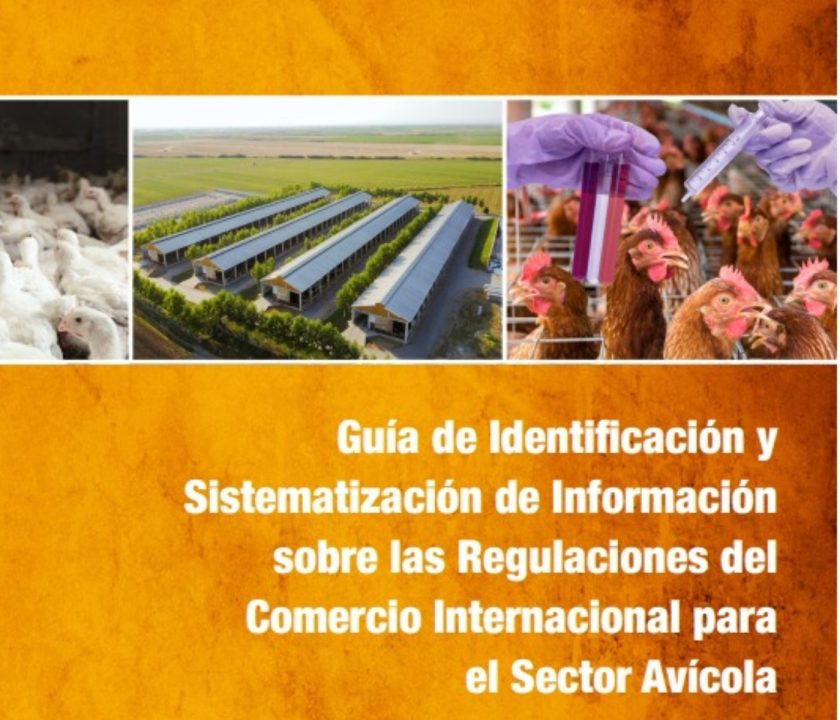 Latinoamérica: Lanzan guía para impulsar comercio internacional de productos avícolas de la región