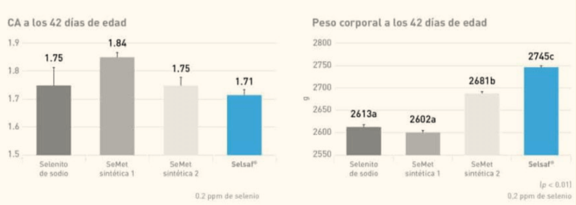 Levaduras seleccionadas en nutrición avícola, ¿apuesta segura?