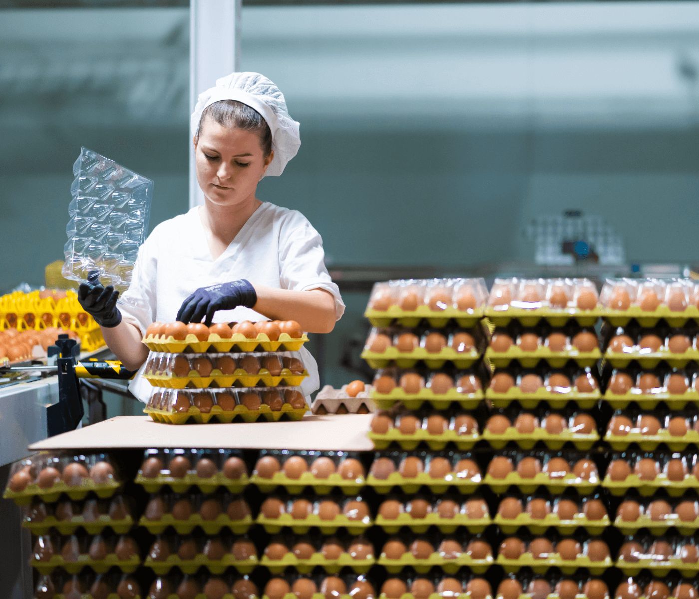 El huevo, líder en aumento de consumo en los hogares españoles: +8% en 2023