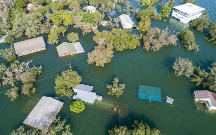 Great losses of pigs and poultry due to floods in southern Brazil