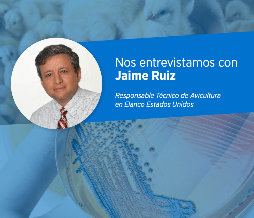 Jaime Ruiz habla sobre vacunación de Salmonella en pollos