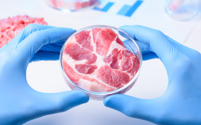 Florida bans sale of lab-grown meat