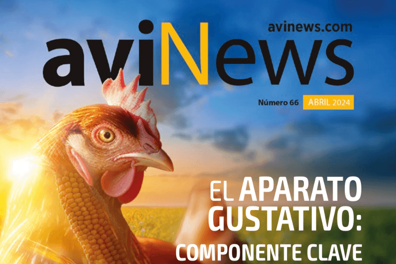 Sumario Manejo exitoso de las infecciones por lombrices intestinales en gallinas y pollos