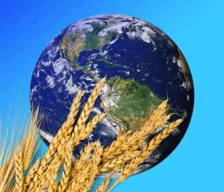 Últimos dos meses críticos para el desarrollo de las cosechas en el hemisferio norte