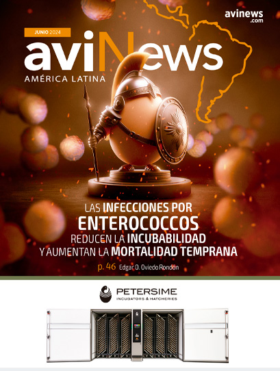 Avinews América Latina Junio 2024