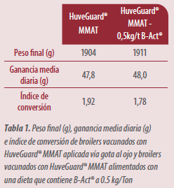 B-Act® mejora salud intestinal post vacuna contra coccidiosis