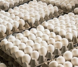 EEUU: Proyectan disminución en la producción de huevos para este 2024