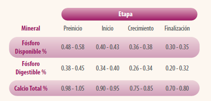 ¿Cómo satisfacer las necesidades de fósforo y calcio en pollos de engorde?