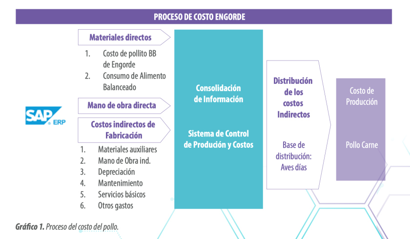 Optimización del costo de engorde: mejora la rentabilidad