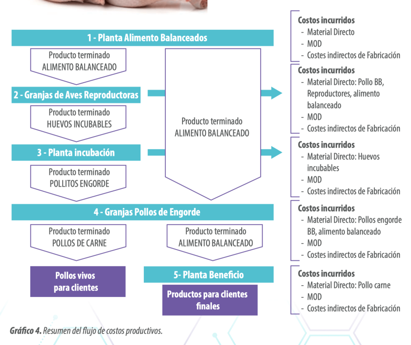 Optimización del costo de engorde: mejora la rentabilidad