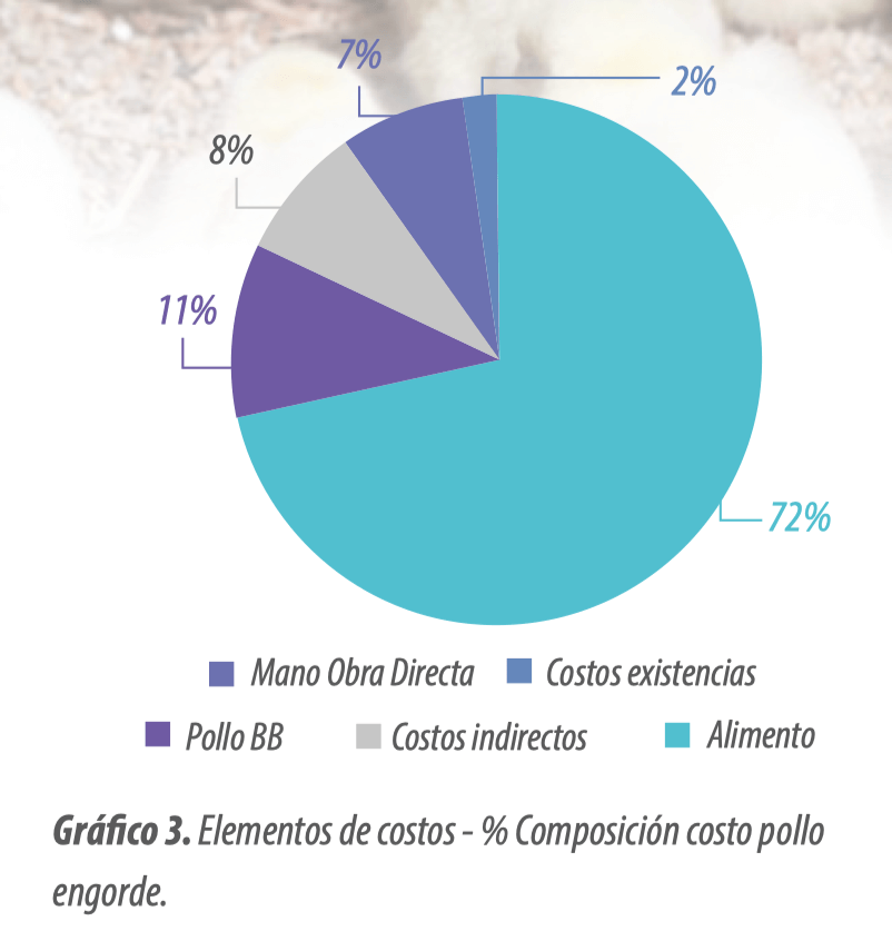 Optimización del costo de engorde: mejora la rentabilidad