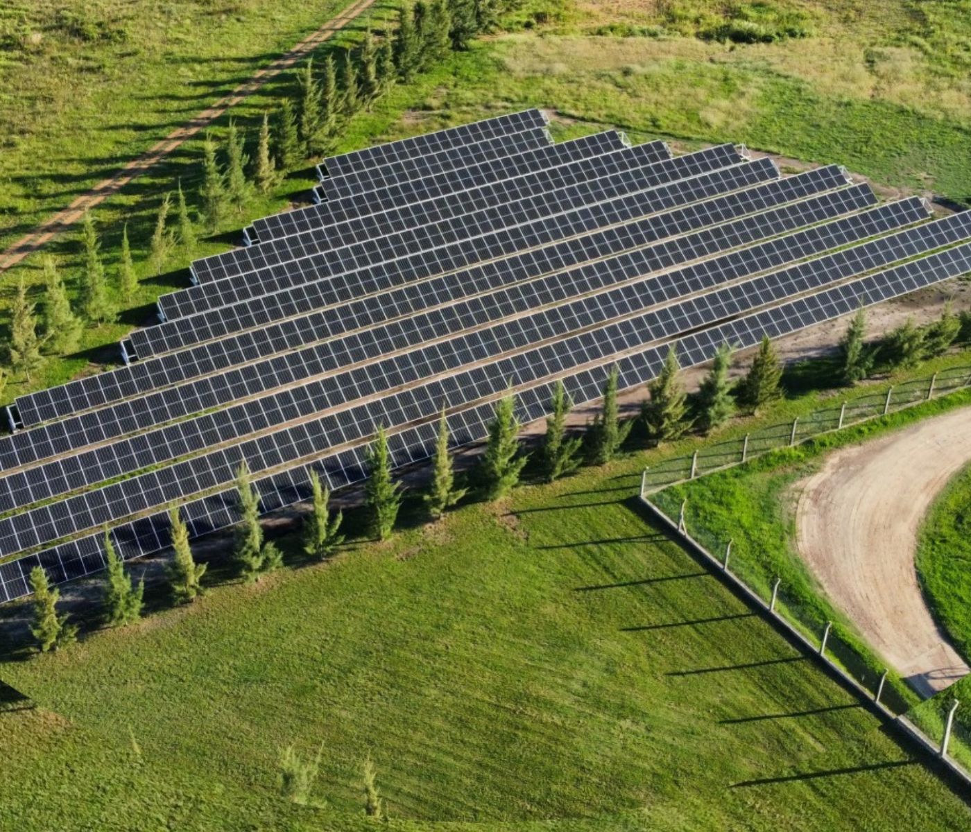 En Argentina inauguran parque solar fotovoltaico en planta de incubación avícola