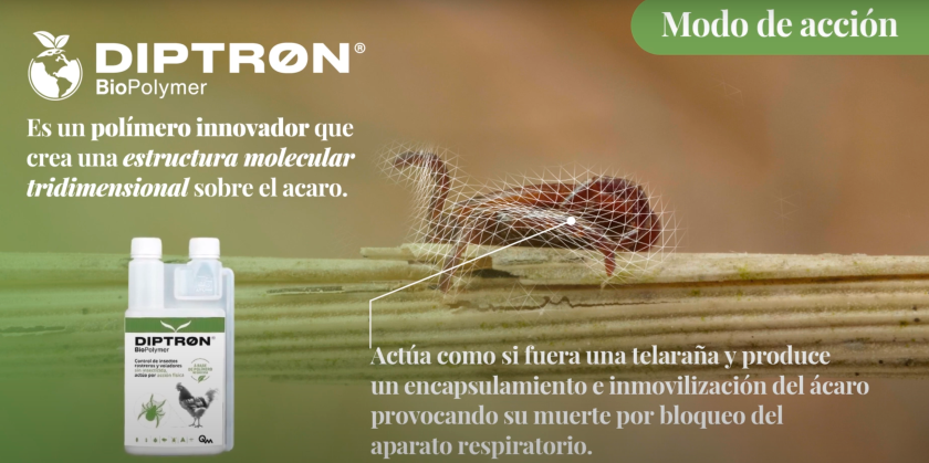 DIPTRON BioPolymer – Control del ácaro rojo SIN insecticidas, elimina por acción física