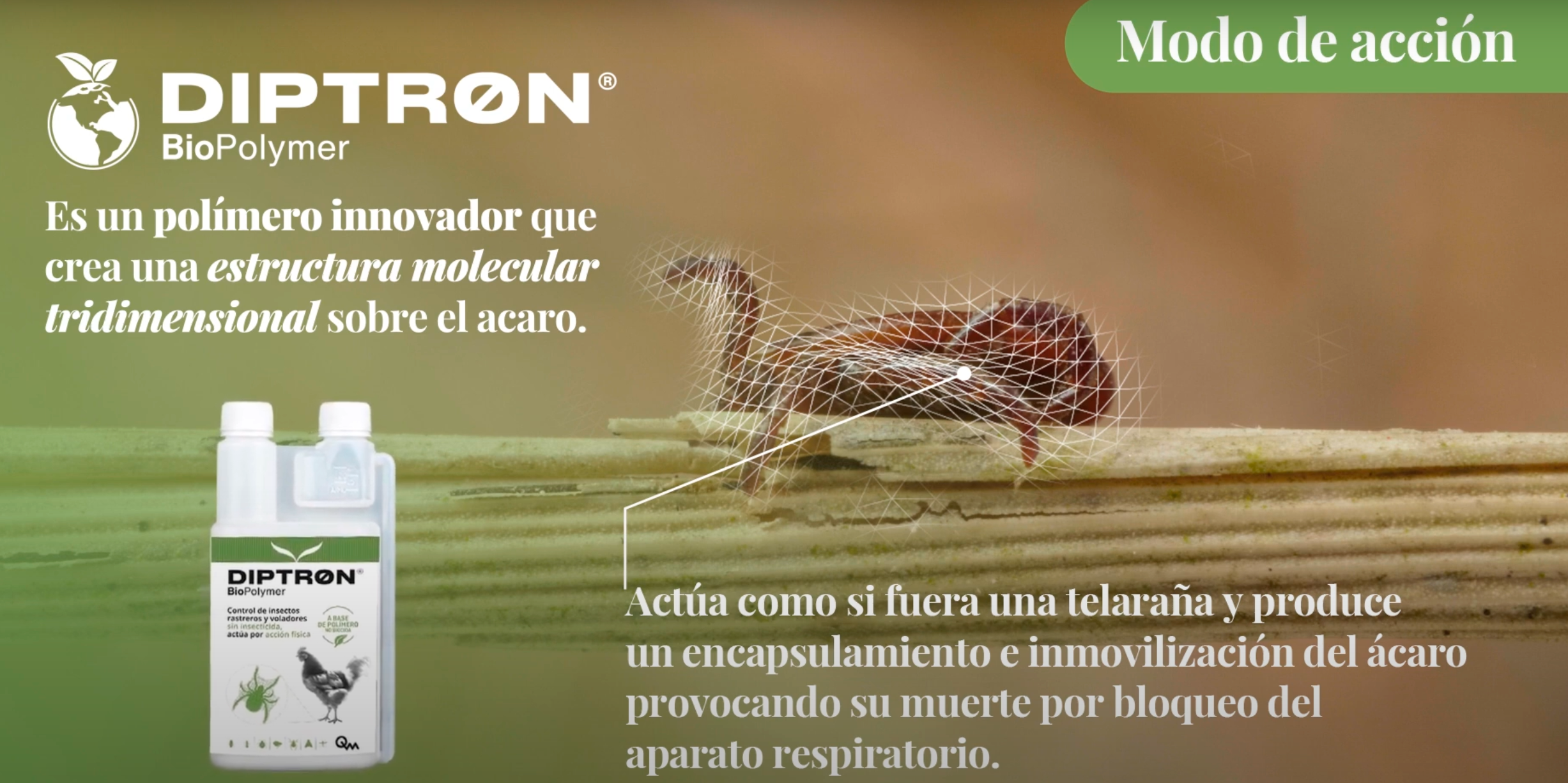 DIPTRON BioPolymer – Control del ácaro rojo SIN insecticidas, elimina...