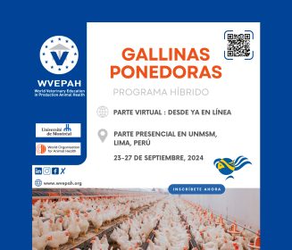 ¡Programa de capacitación de la WVEPAH en español!