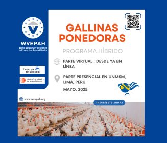 ¡Programa de capacitación de la WVEPAH en español!