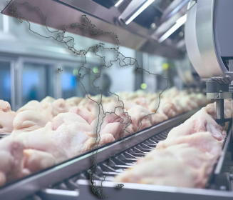 Análisis de la industria de carne de pollo en América Latina