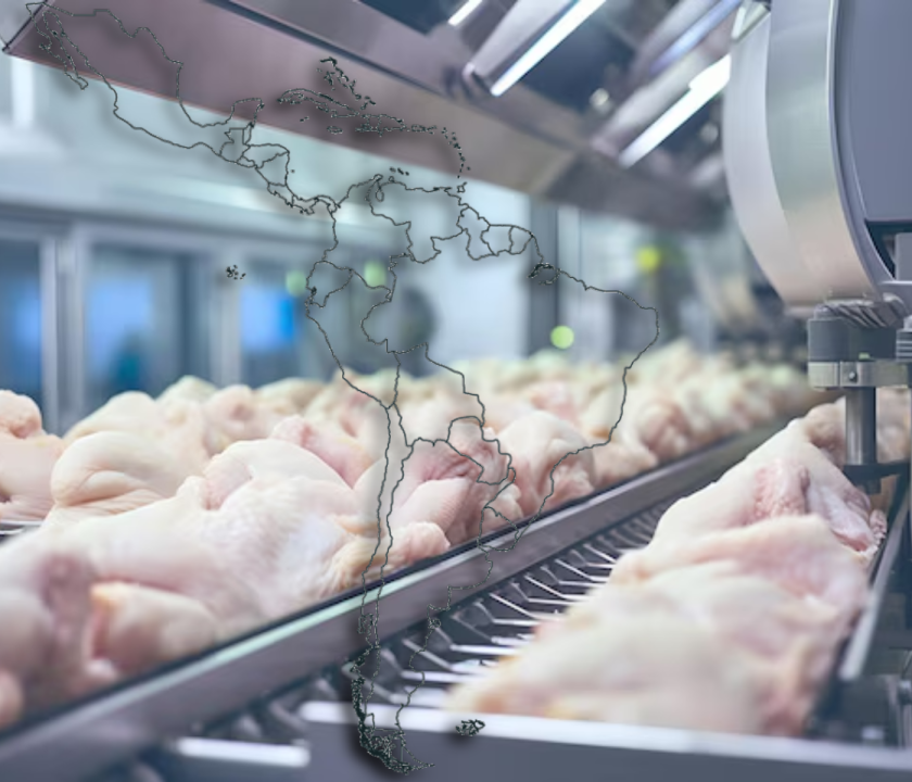 Análisis de la industria de la carne de pollo en América Latina