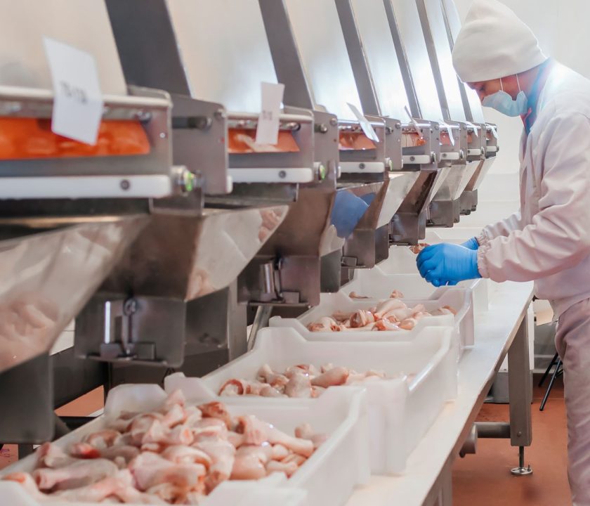 Análisis de la industria de la carne de pollo en América Latina